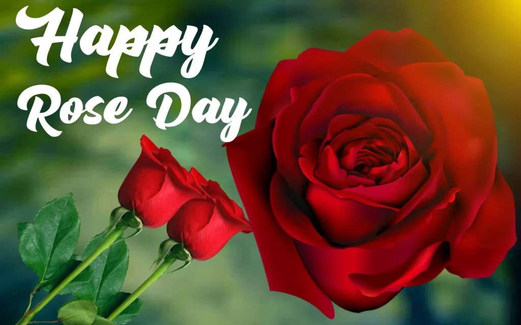 Happy rose day photo image Pngmark