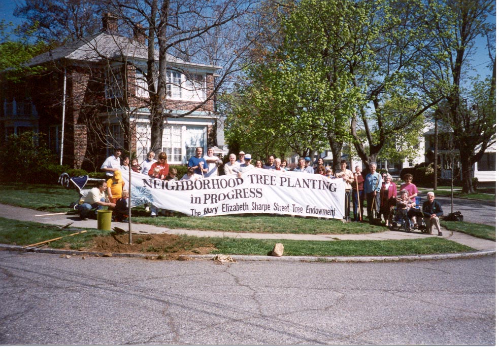 What Planting Zone Is Providence Ri at Wade Grimm blog