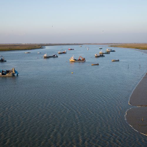 Le littoral et la baie de l'Aiguillon PNR Marais Poitevin