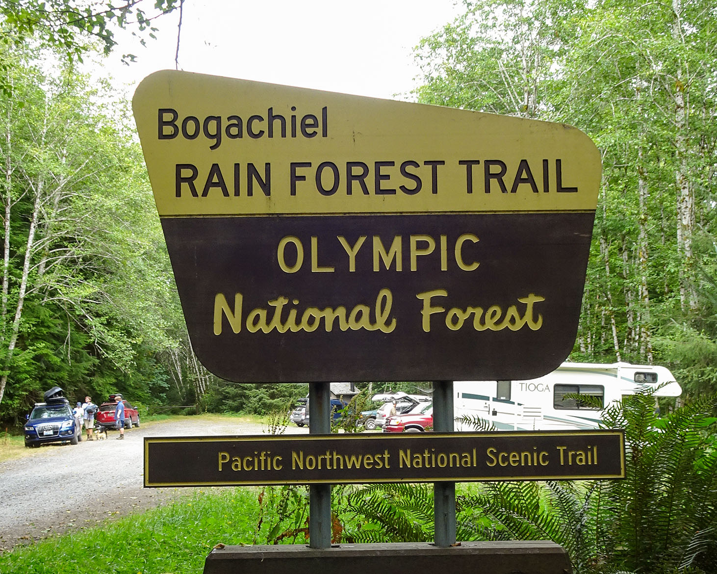 Bogachiel Rainforest River Trailhead PNT