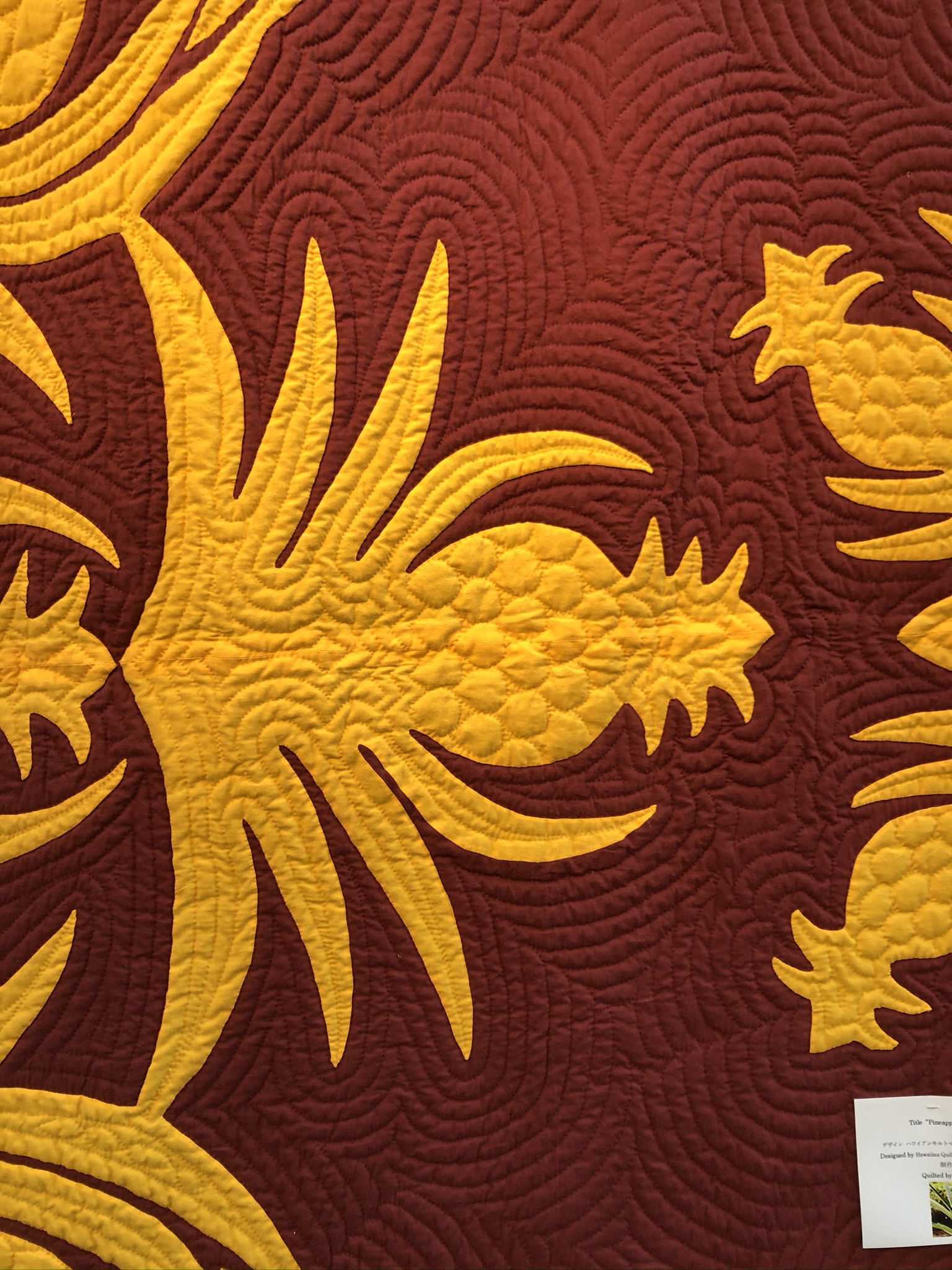 Hawaiian Quilting With Poakalani & Co. Page 2 of 22 and