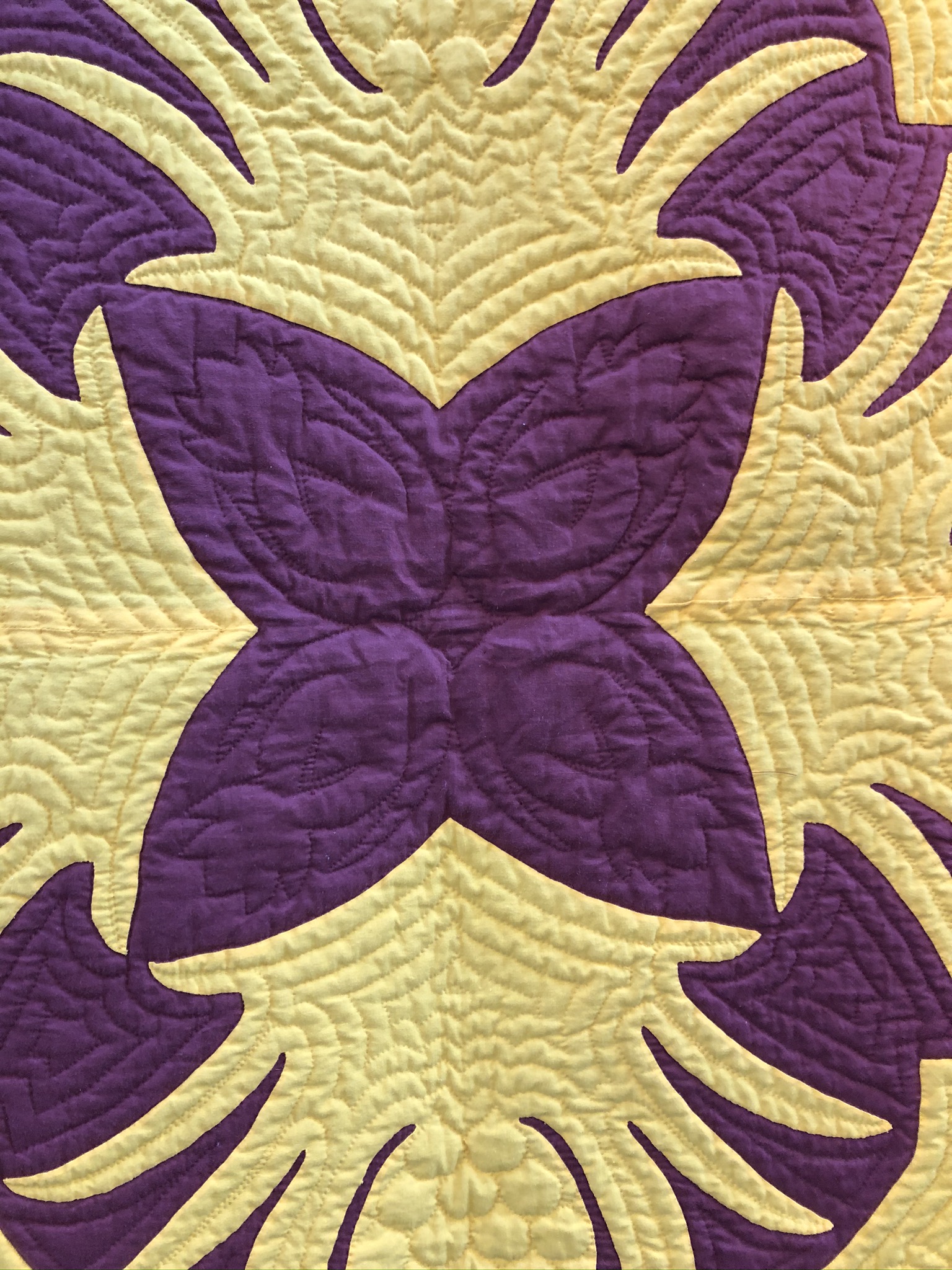 Hawaiian Quilting With Poakalani & Co. Page 2 of 22 and