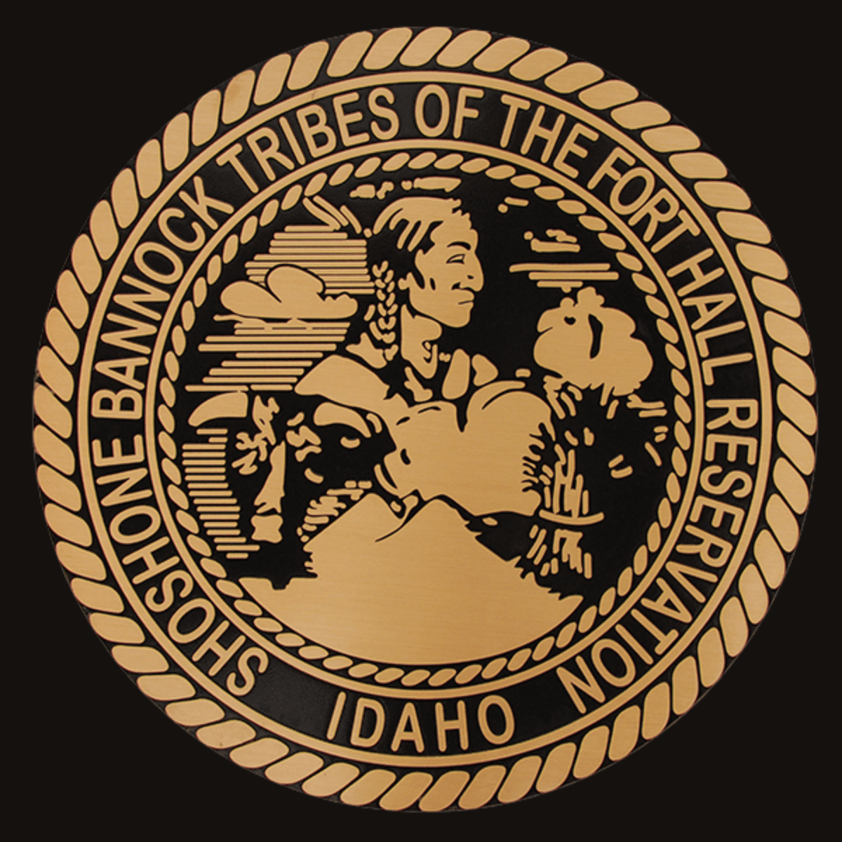 Fort Hall Police Department PocatelloChubbuck Observer