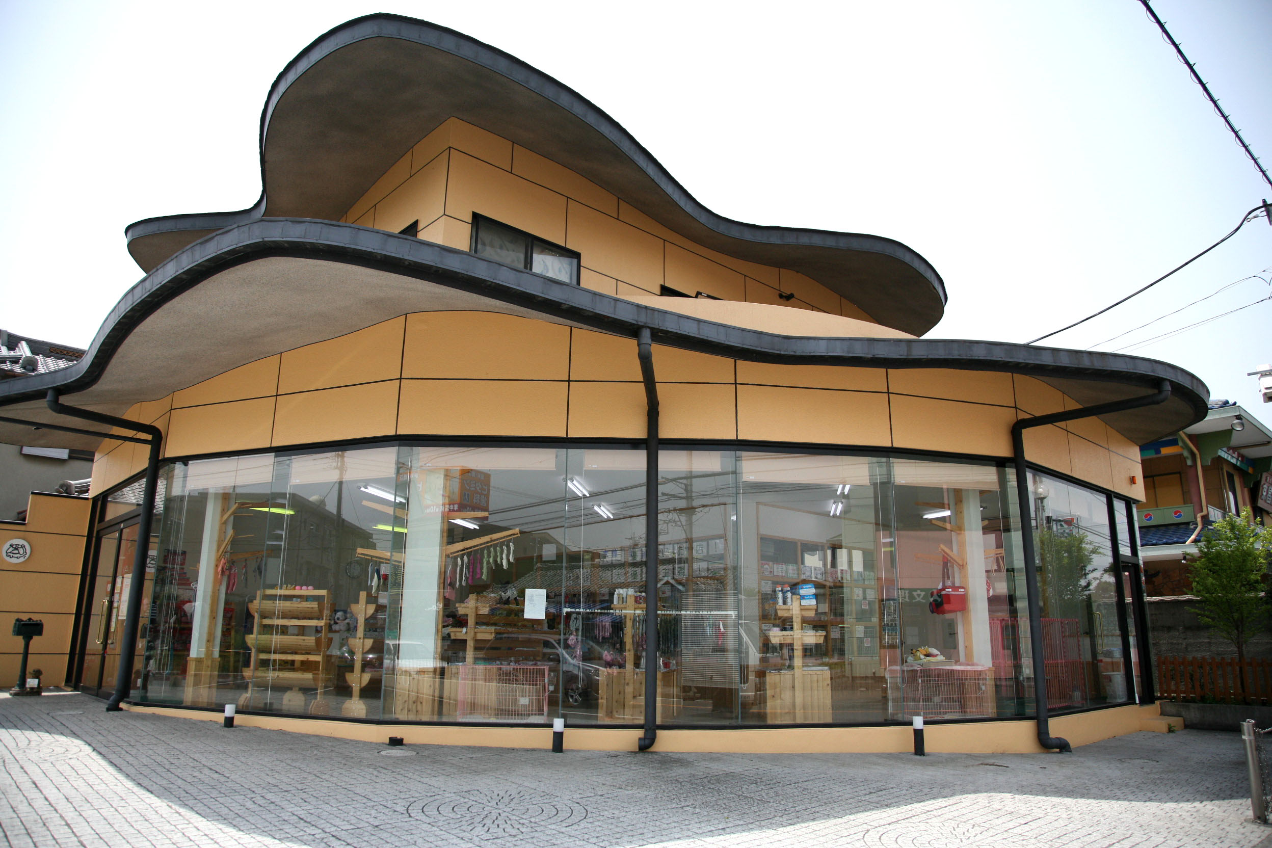 静岡県富士市のペットショップ 仔犬の家Poccke（ポッケ） 静岡県富士市のペットショップ 仔犬の家Poccke（ポッケ）の子犬情報 チワワ