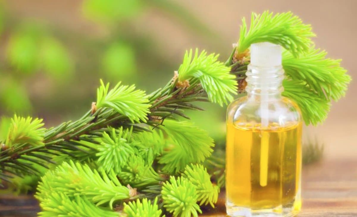 How to Get Rid of Black Mold Naturally