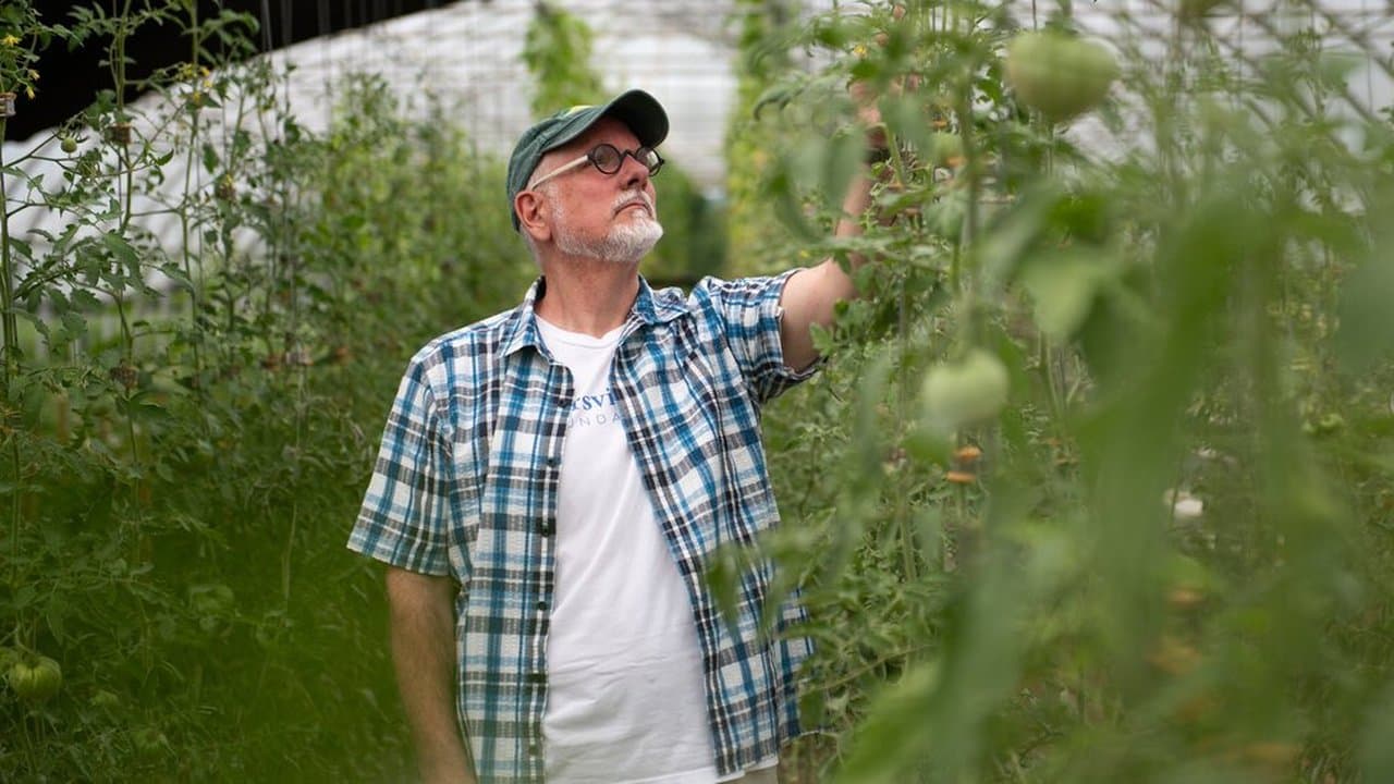 The Top FeelGood Stories of 2021