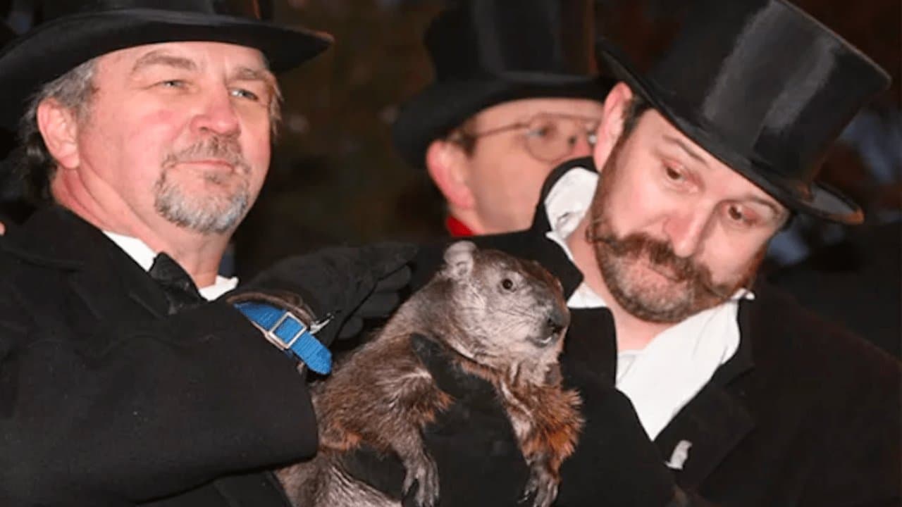 7 Essential Reads About Groundhog Day