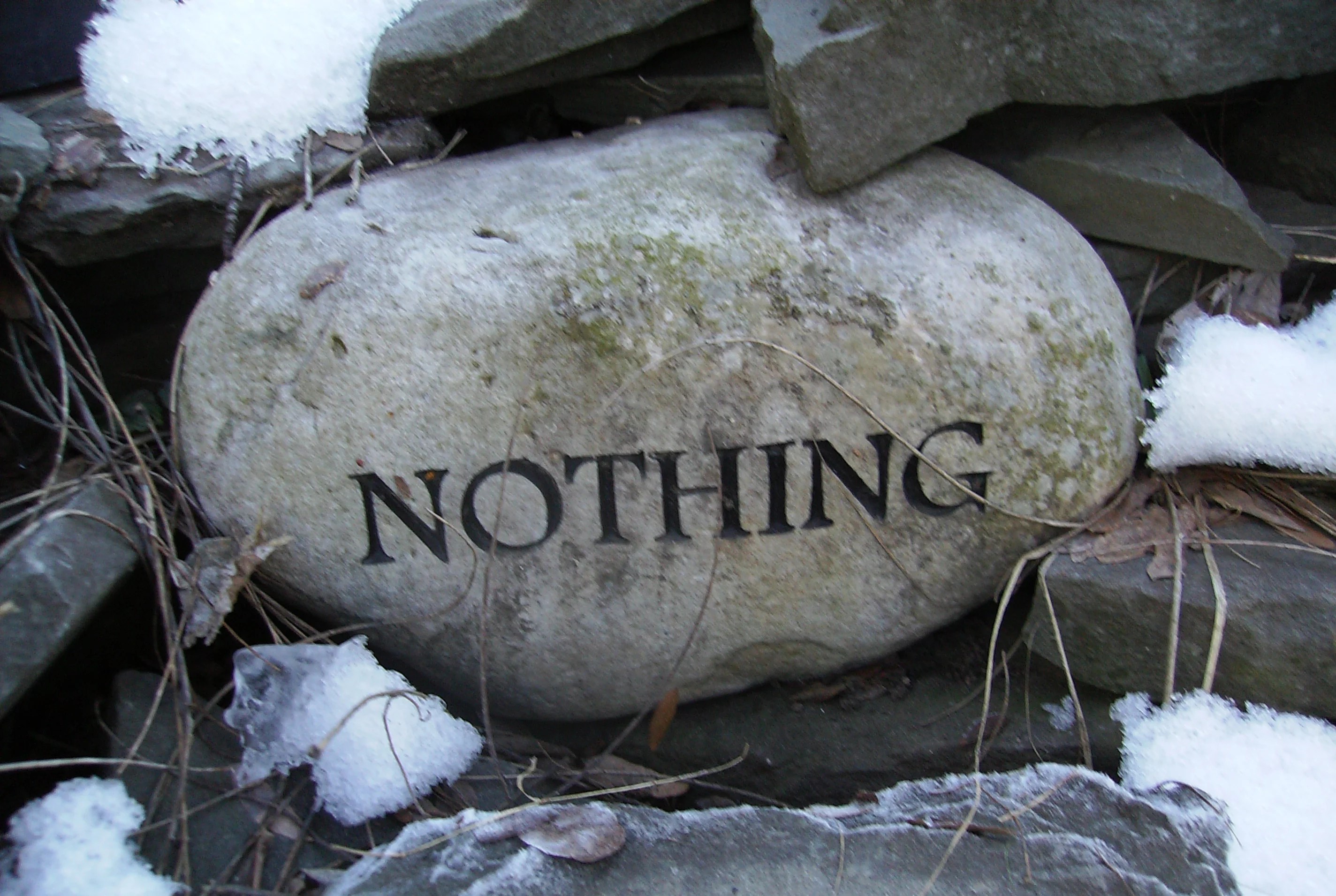 Net neutrality passed, now what? Pocketables