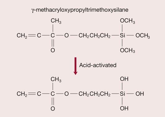 silane coupling agent