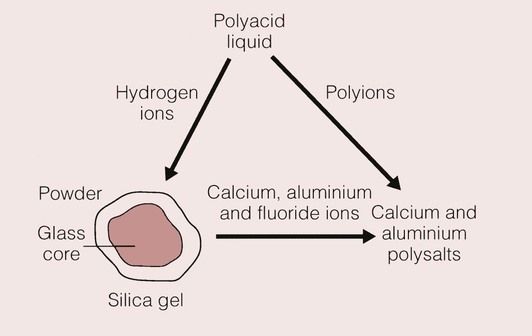 2.3 Glassionomer cements and resinmodified glassionomer cements