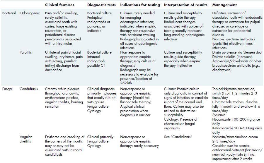 7 Oral Infection Pocket Dentistry