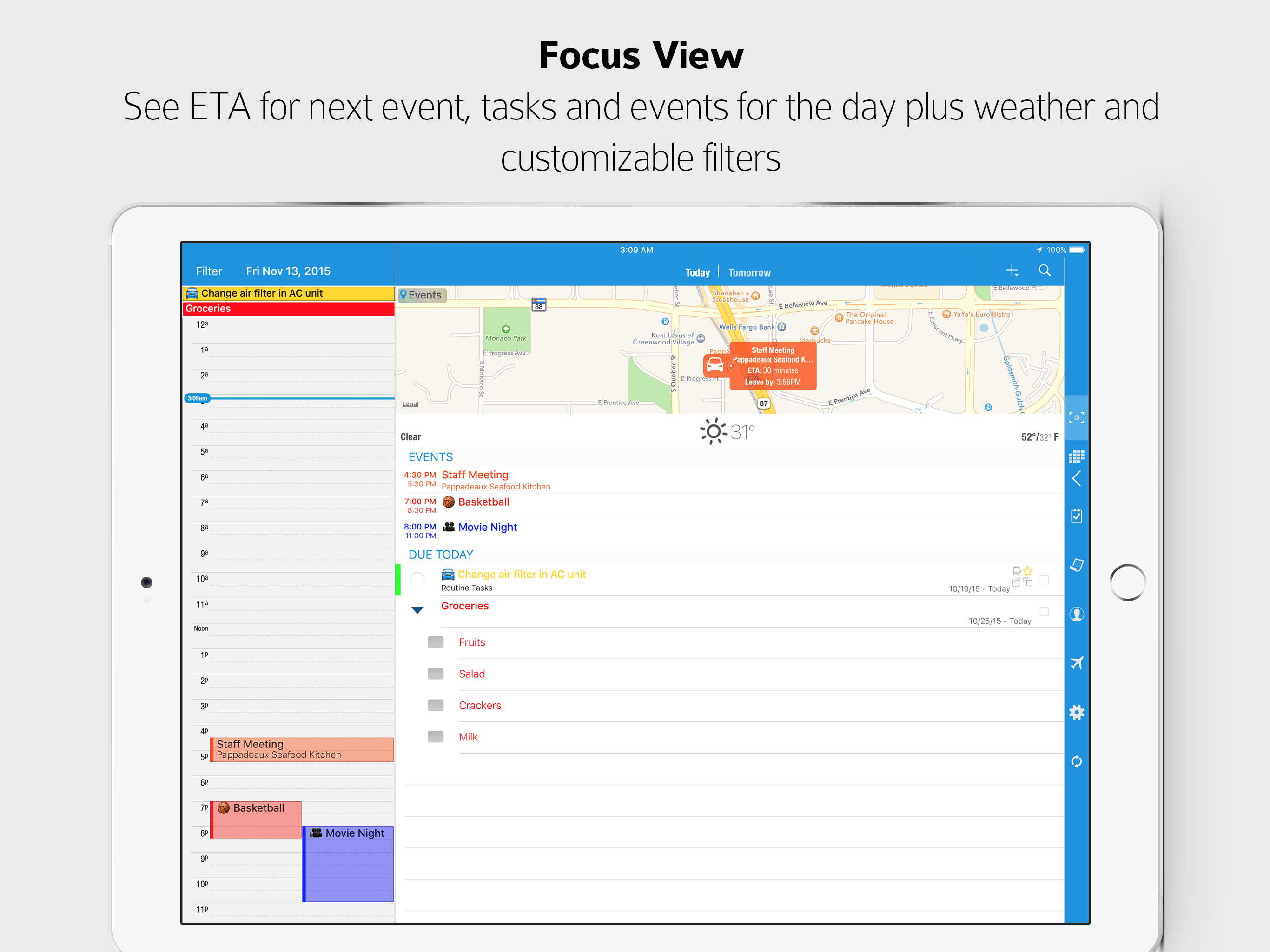 Focus View Pocket Informant