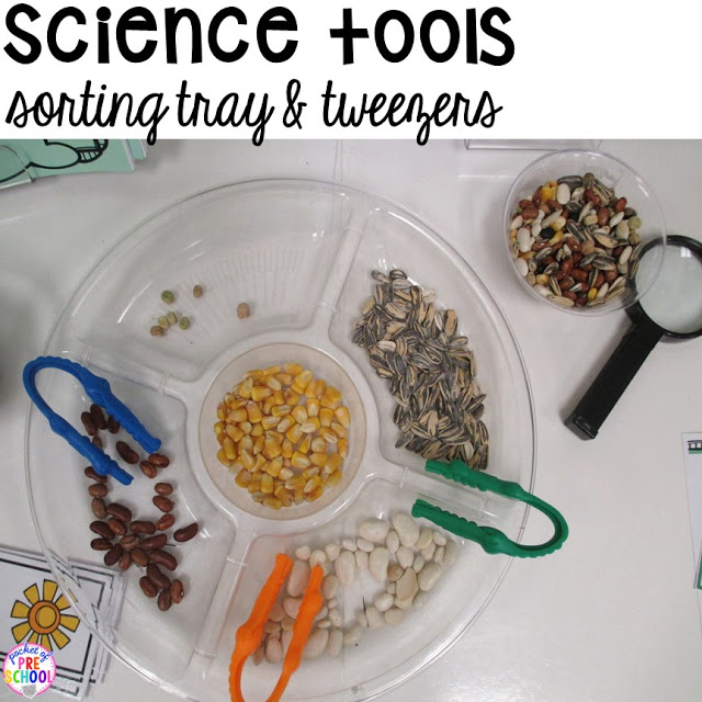 How to set up the Science Center in your Early Childhood Classroom