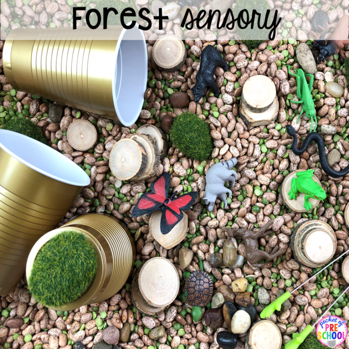 Sensory Table Ideas for the Year Pocket of Preschool