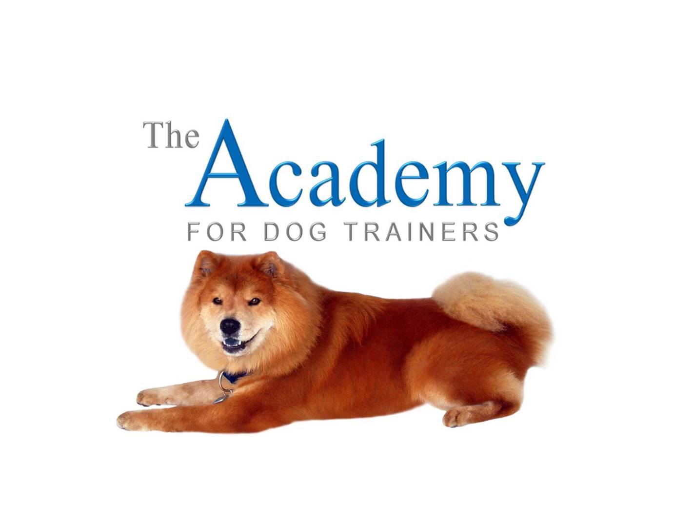 Academy For Dog Trainers
