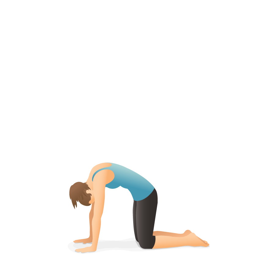 Yoga Poses Dictionary Pocket Yoga