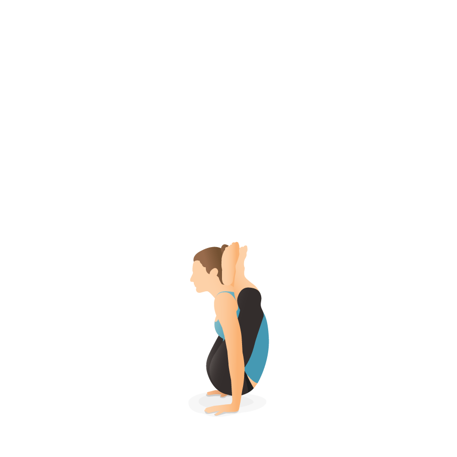 Yoga Poses Dictionary Pocket Yoga