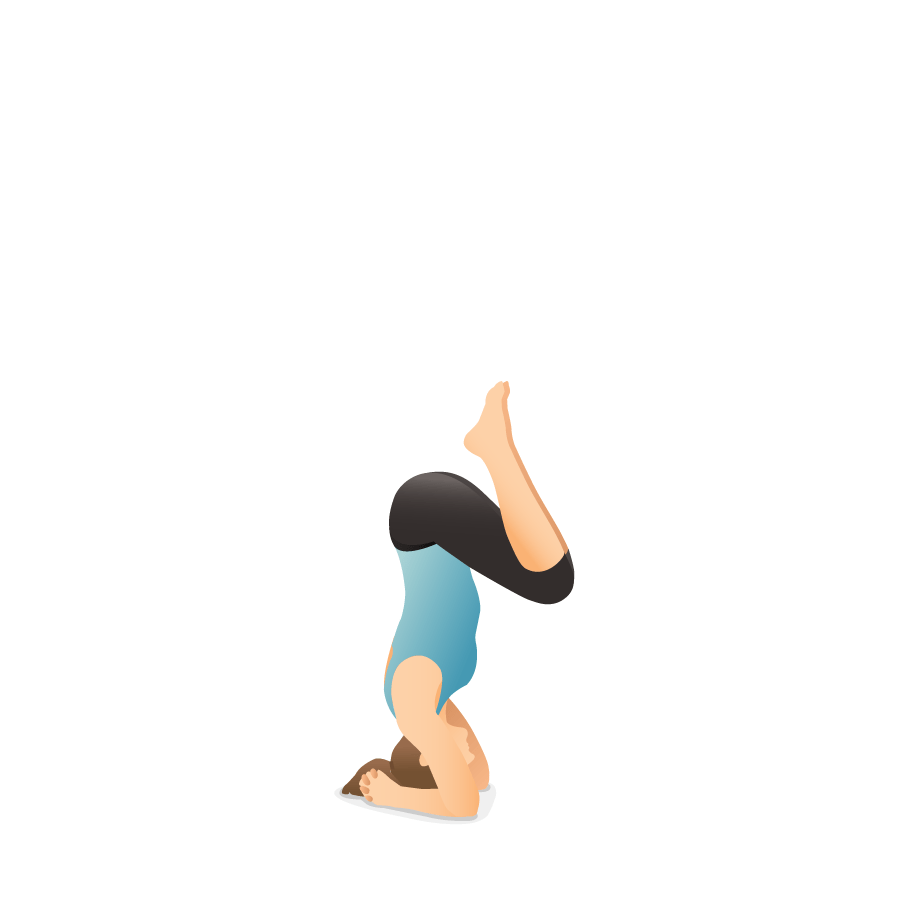 Yoga Poses Dictionary Pocket Yoga