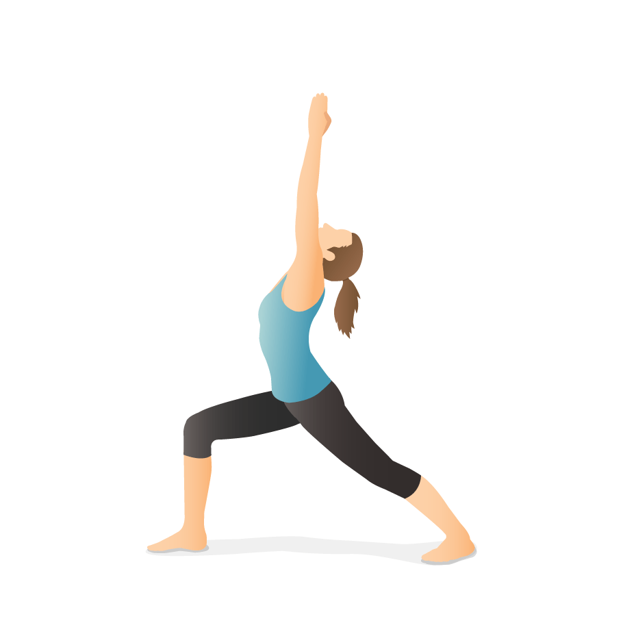 Yoga Poses Dictionary Pocket Yoga