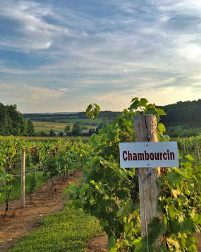 Blue Ridge Estate Winery PoconoGo