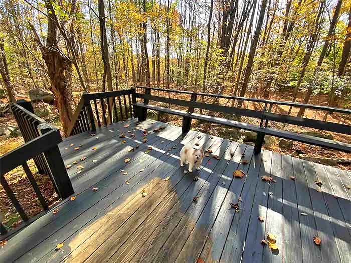 Lake Ariel Cabin PoconoGo