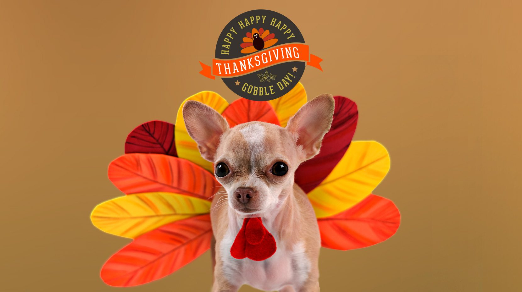 pocono urgent care hours Valdes