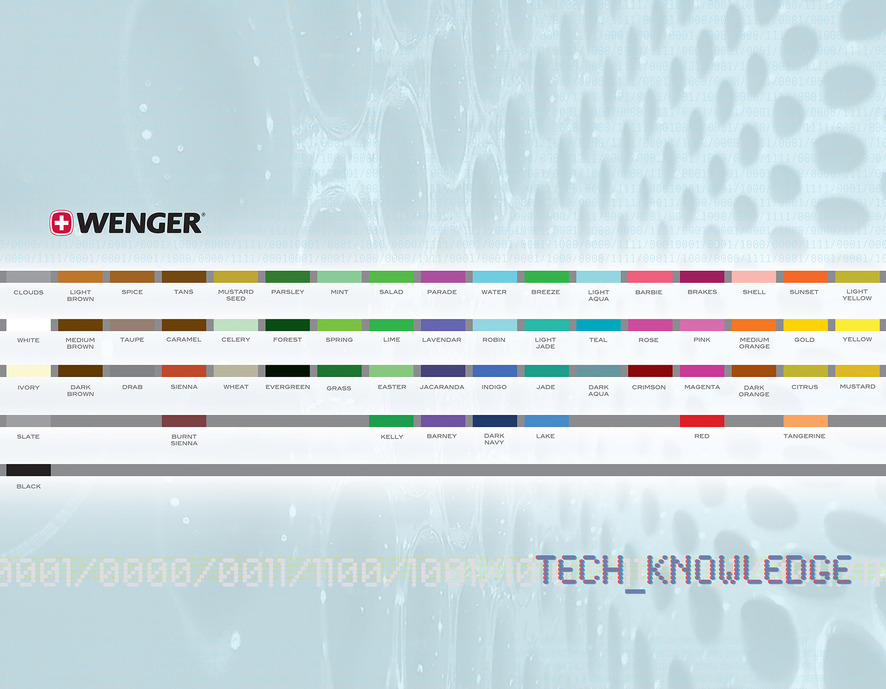 Wenger/Swiss Gear pod22