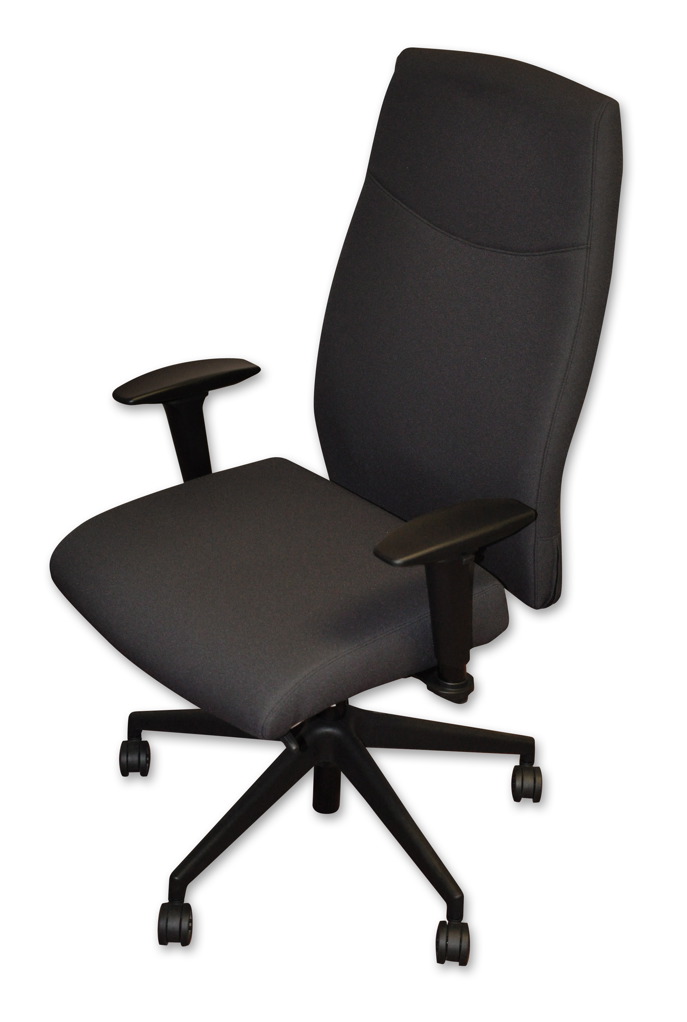 Executive Ergonomic Chair in Black