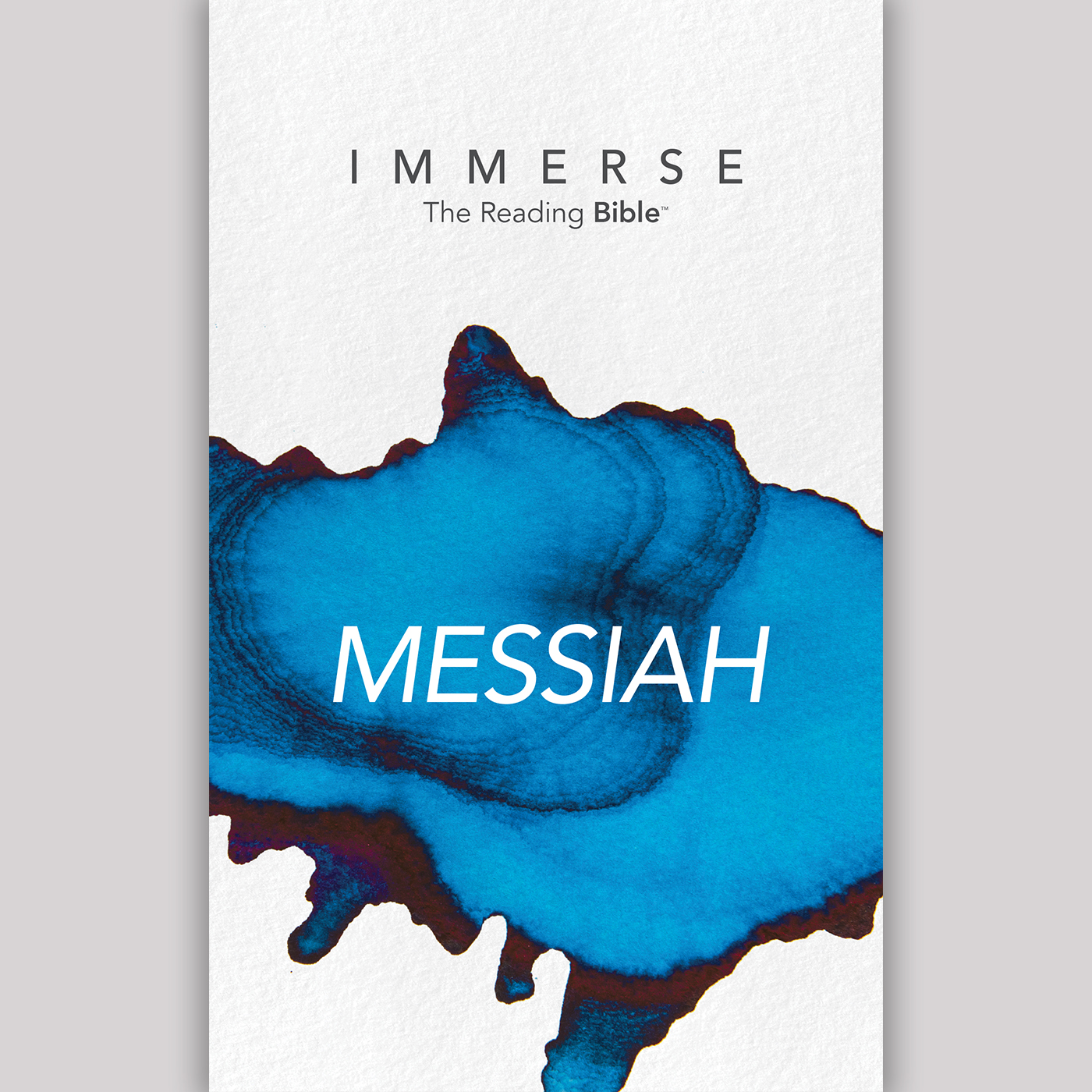 Immerse Kingdoms 16 Week Reading Plan Podcast Addict