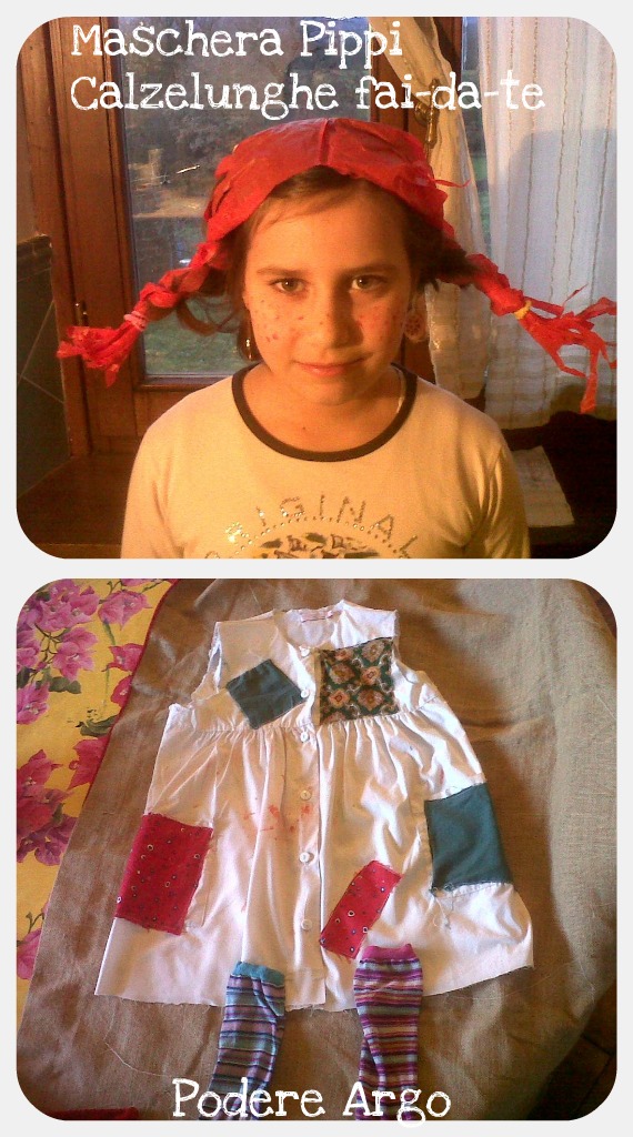 ميت إسطبل دستور vestito carnevale da pippi calzelunghe - siprofitness.com