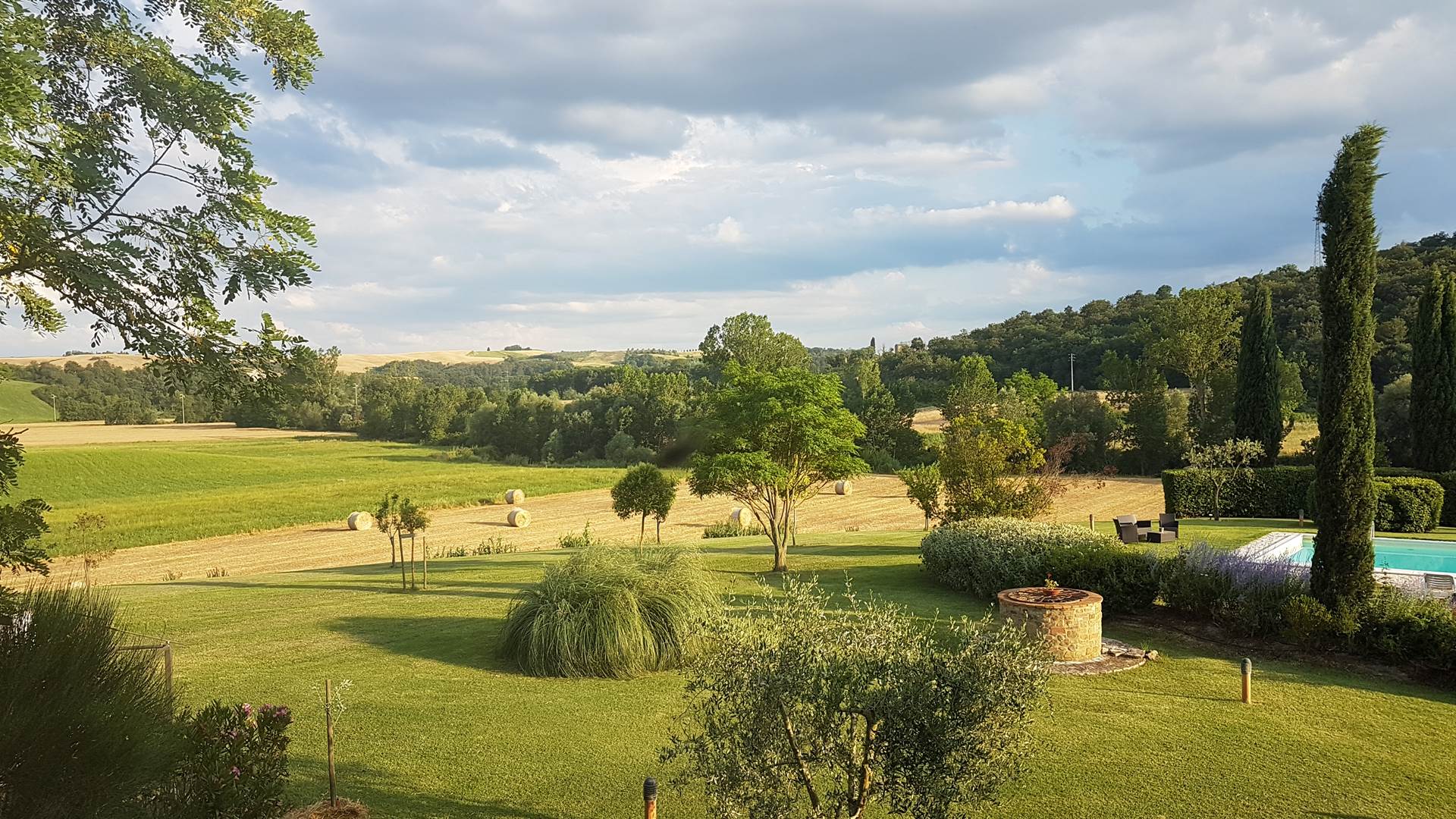 Paling Dicari Habitat Asciano Referensi