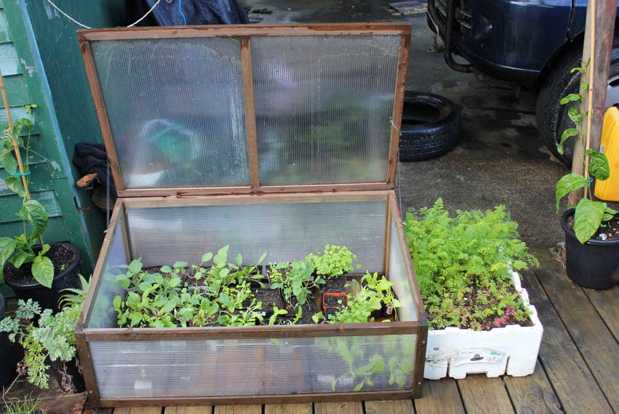 Cold Frame POD Easy Edible Gardening