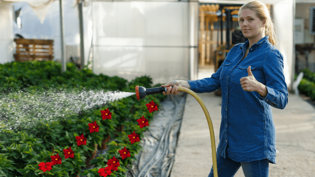Why Are My Poinsettia Leaves Falling Off?