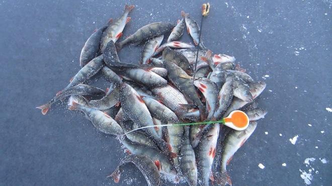 Pescuitul De IarnÄ Cum SÄ Pescuim Iarna Care Ar Trebui SÄ Fie O LansetÄ De Pescuit De IarnÄ Cum SÄ Te Imbraci Cand Mergi La Pescuit De IarnÄ