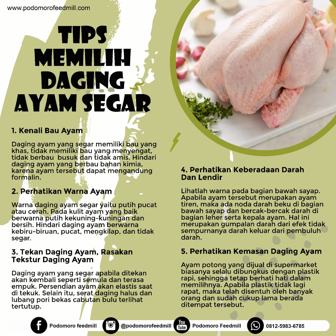 Tips Memilih Daging Ayam Segar, Podomoro Poultry Equipment