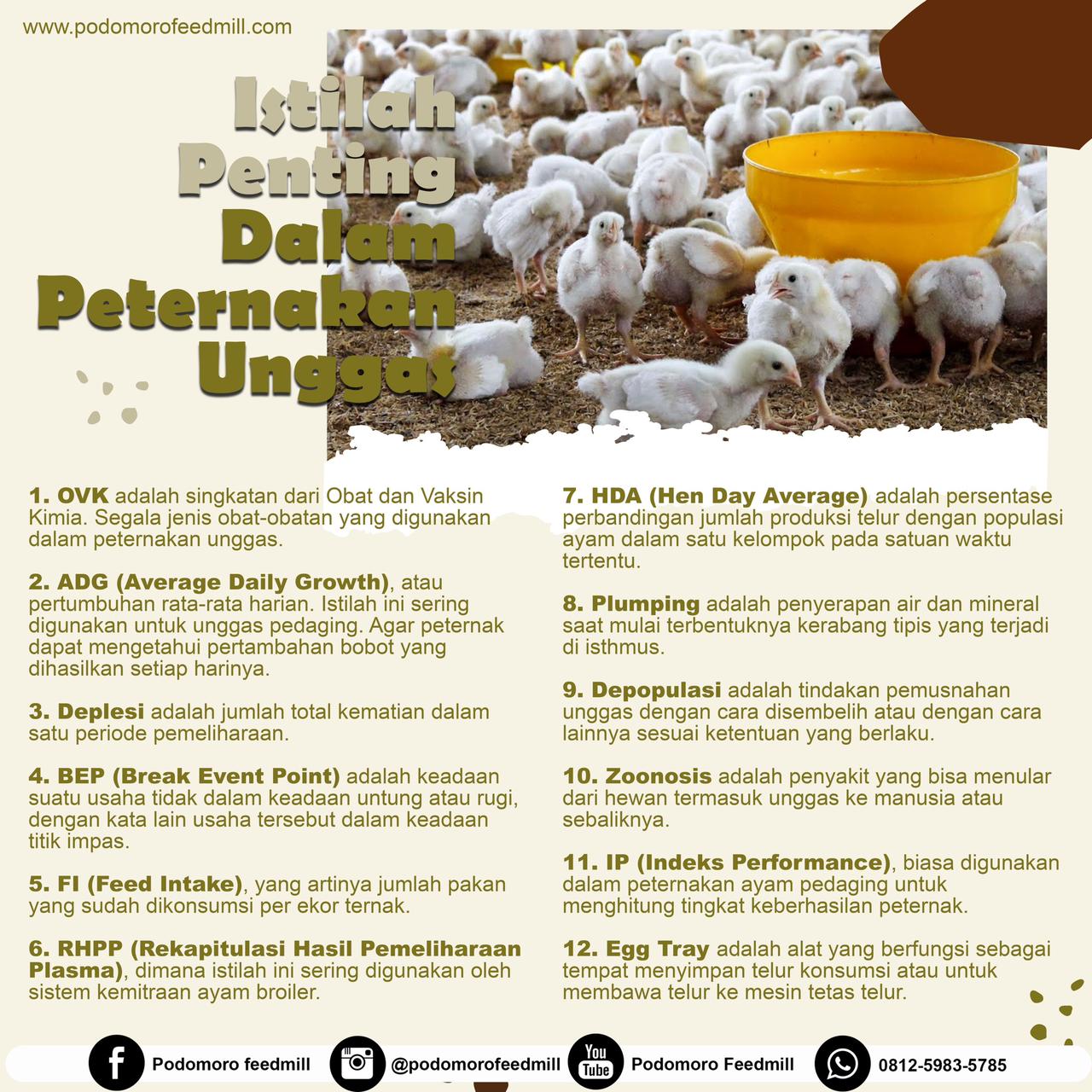 Istilah Penting Dalam Peternakan Unggas, Podomoro Poultry Equipment