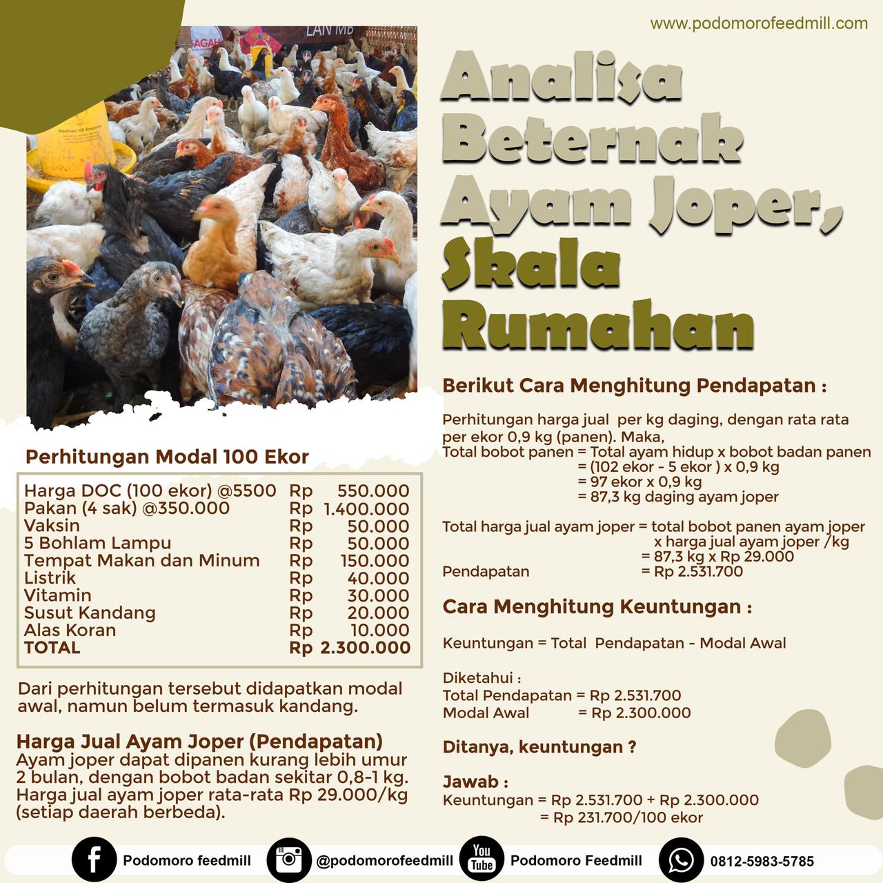 Analisa Beternak Ayam Joper Skala Rumahan, Podomoro Poultry Equipment