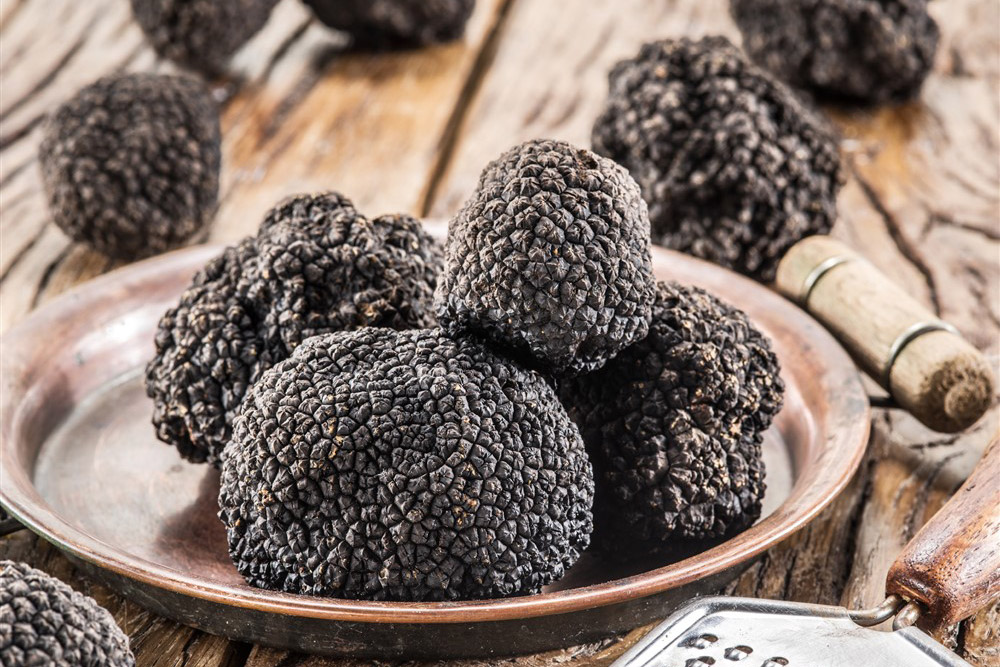Trufle najdroższe grzyby świata! Biuro Podróże Sylvia