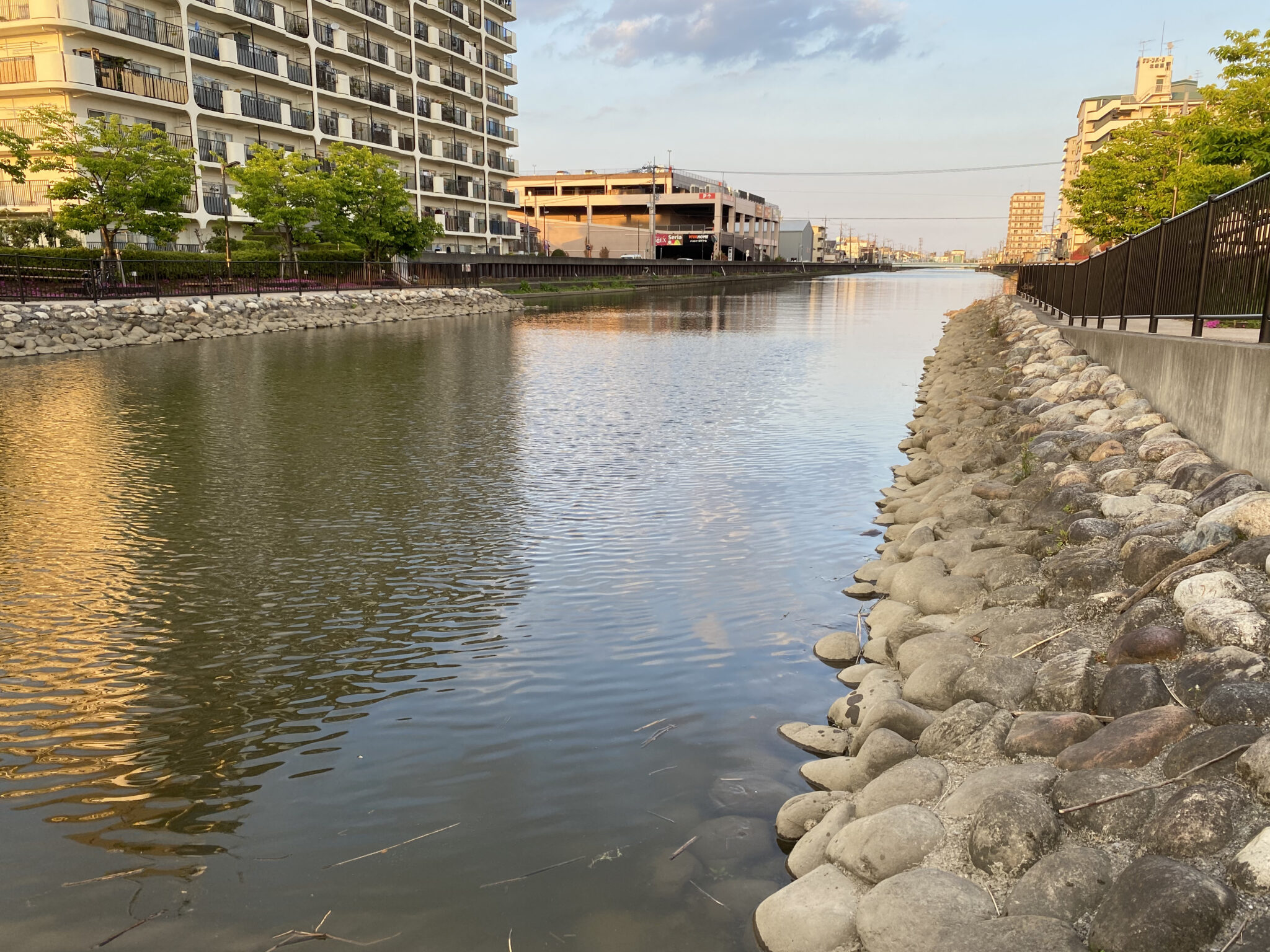 2021年4月11日 花畑運河釣果記録🐟 ボラコンでちょい釣り🎣 RSAの釣りバカ日記