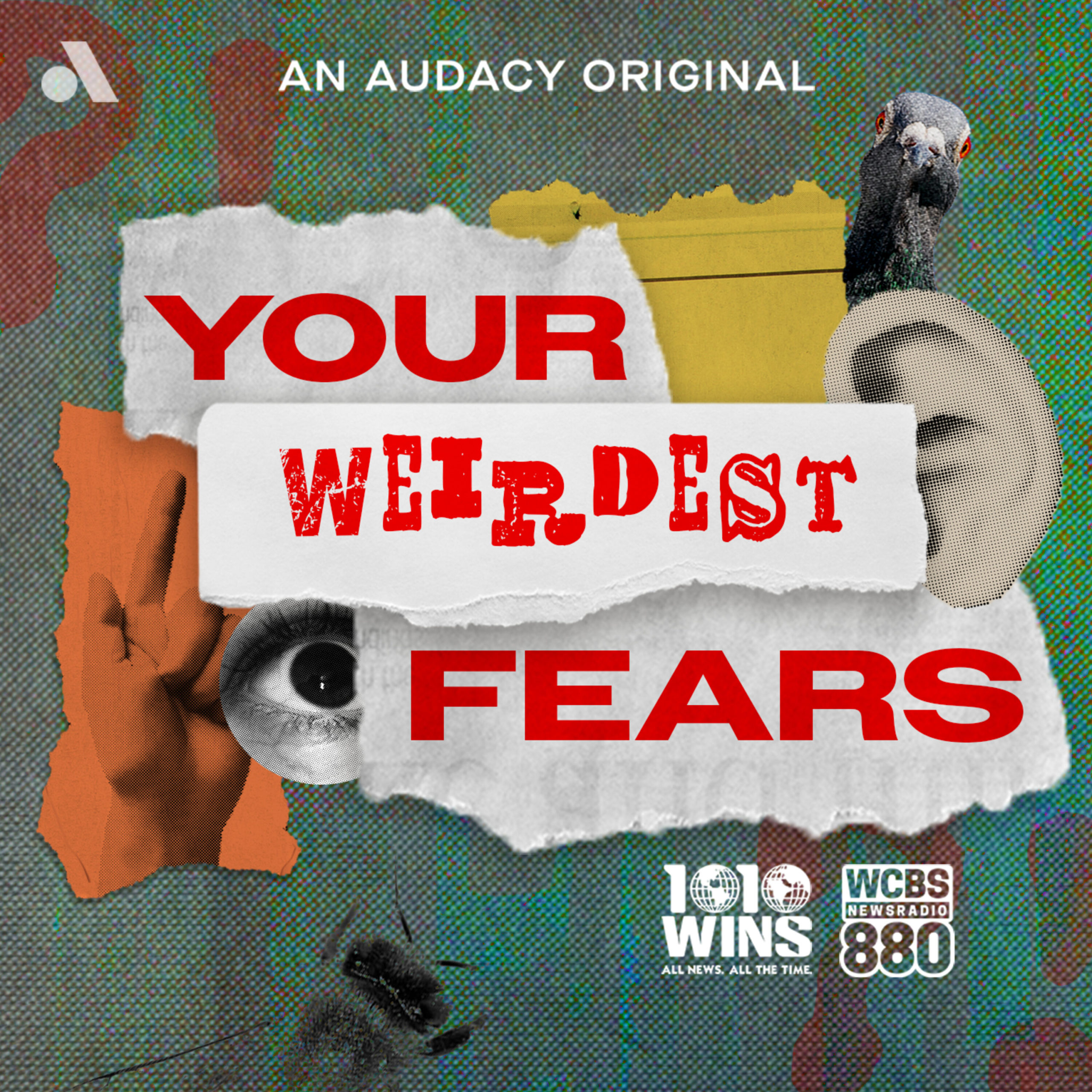 'Your Weirdest Fears' examines your rational and irrational fears
