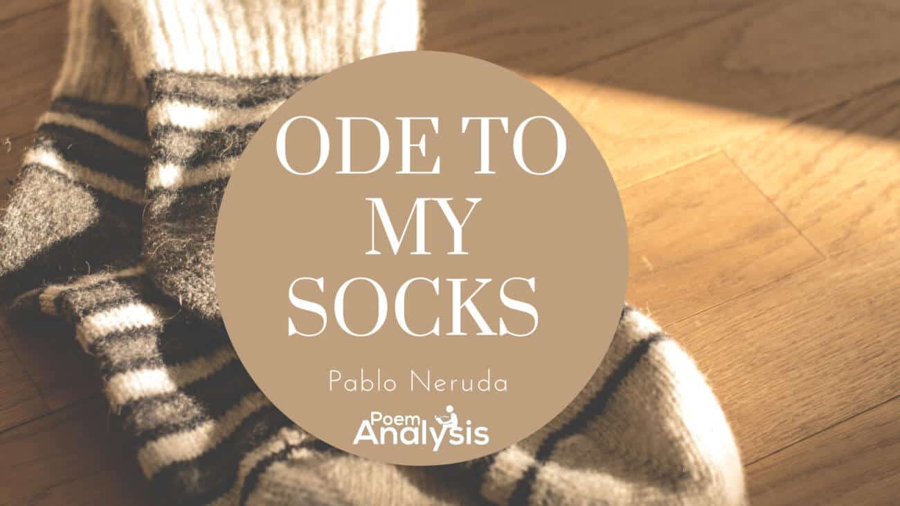 Ode to My Socks by Pablo Neruda Poem Analysis