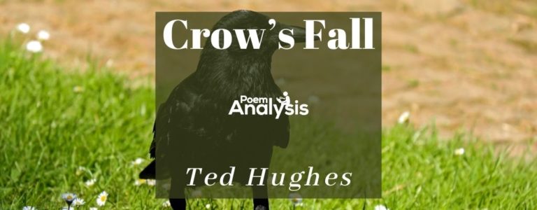 Crow's Fall by Ted Hughes Poem Analysis