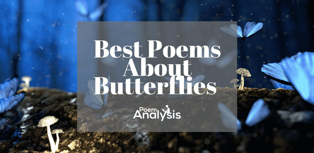 12 Poems About Butterflies Poet Lovers Must Read Poem Analysis