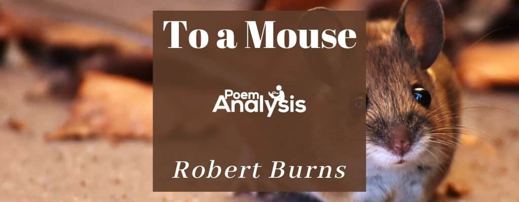 To a Mouse by Robert Burns Poem Analysis