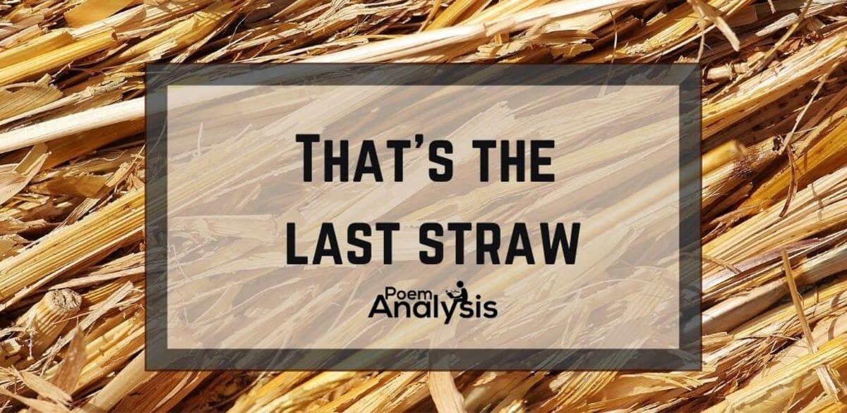 "The Last/Final Straw" Meaning Poem Analysis