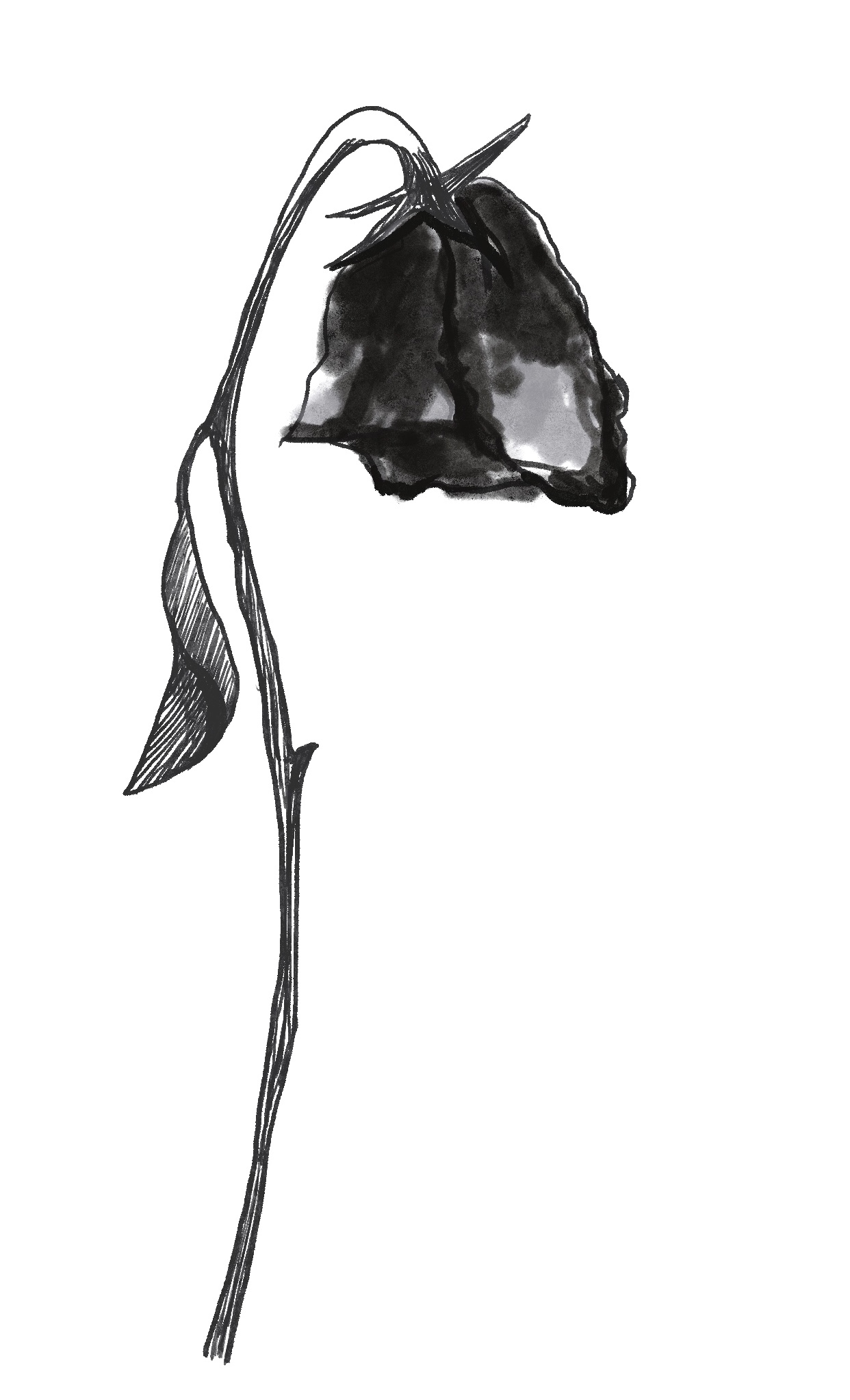 Ode on Melancholy Poetry Prof