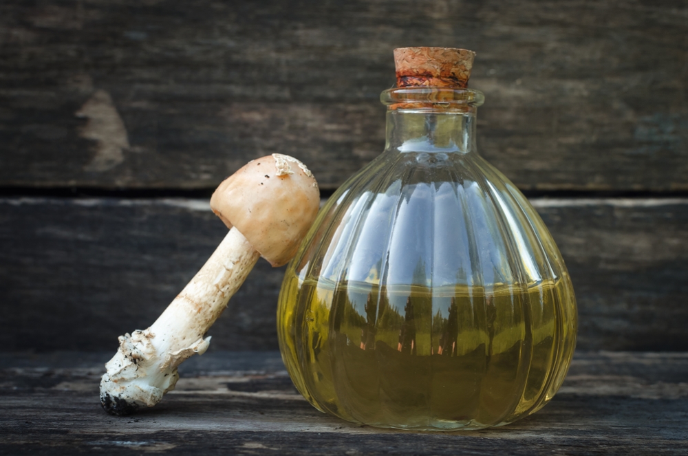 От чего помогает настойка мухомора на спирту и как ее приготовить