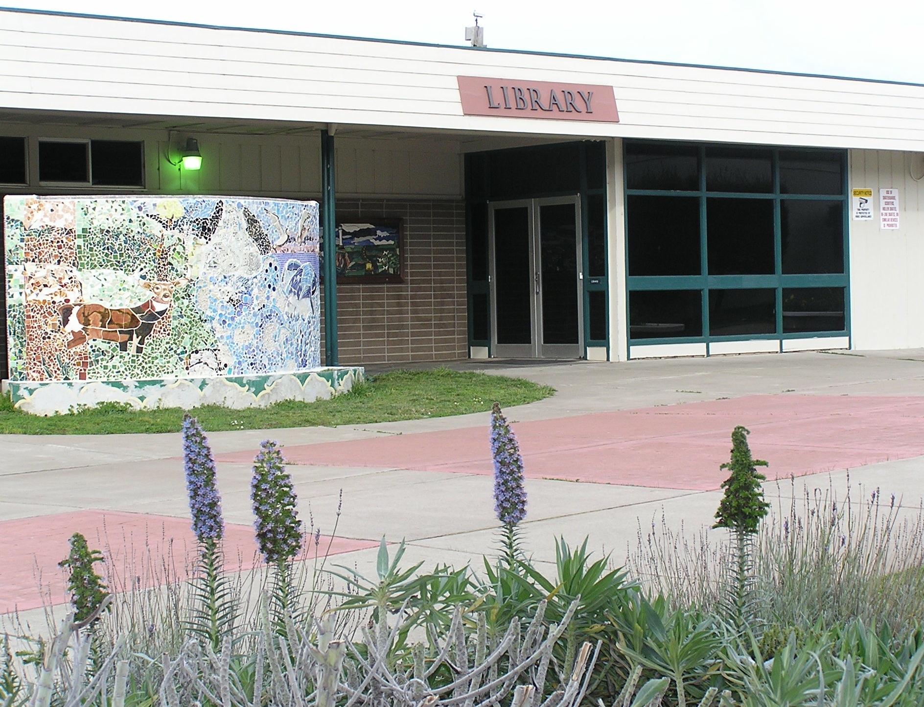 PAHS Library Point Arena High School