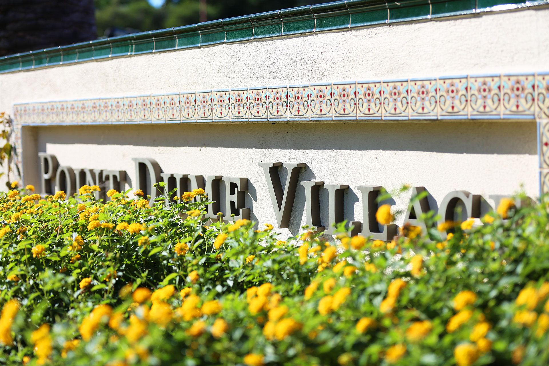 Gallery Point Dume Village