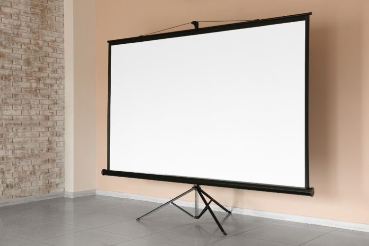 5 Best Projector Screens For Daytime Viewing in 2022 Pointer Clicker